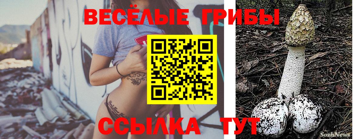 Псилоцибиновые грибы мухоморы Кохма