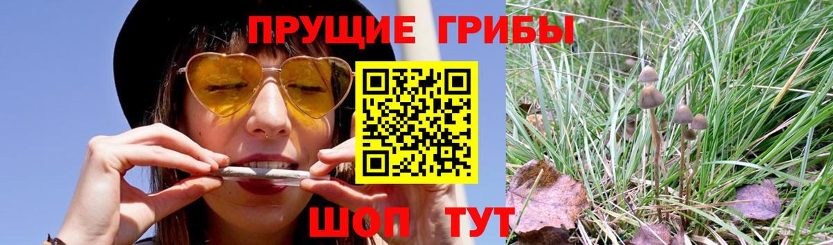Кохма  Галлюциногенные грибы Magic Shrooms  дарнет шоп  Галлюциногенные грибы мухоморы  Вход с VPN 